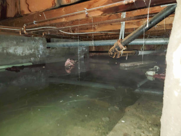 Best Fire Damage Restoration  in Tonka Bay, MN