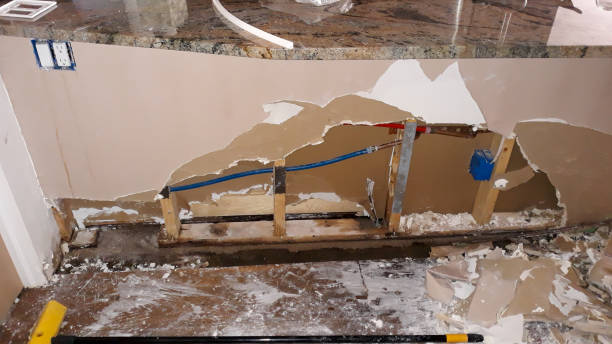 Best Mold removal after water damage  in Tonka Bay, MN