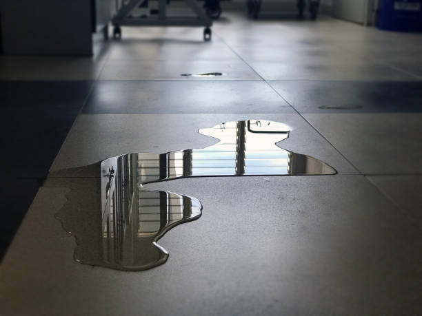 Professional Water damage restoration in Tonka Bay, MN