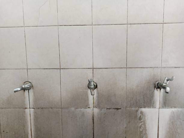 Best Residential water damage restoration  in Tonka Bay, MN