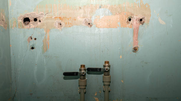 Best Ceiling water damage repair  in Tonka Bay, MN