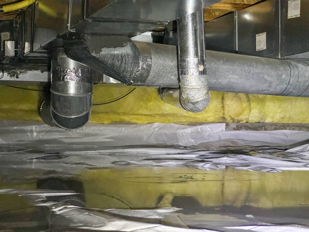 Water damage restoration mold remediation in Tonka Bay, MN