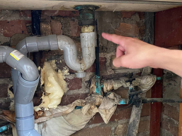 Best Water damage contractors near me  in Tonka Bay, MN